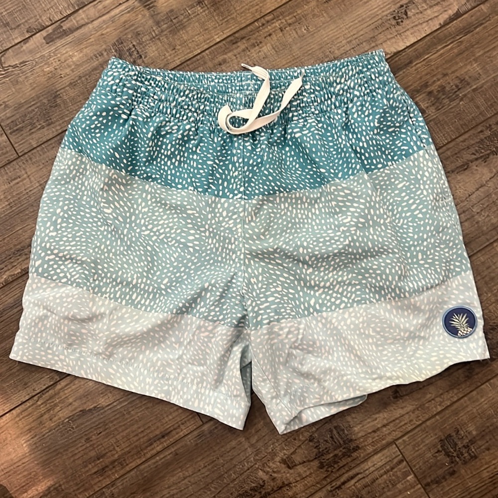 Men’s Chubbies Swimming Trunks